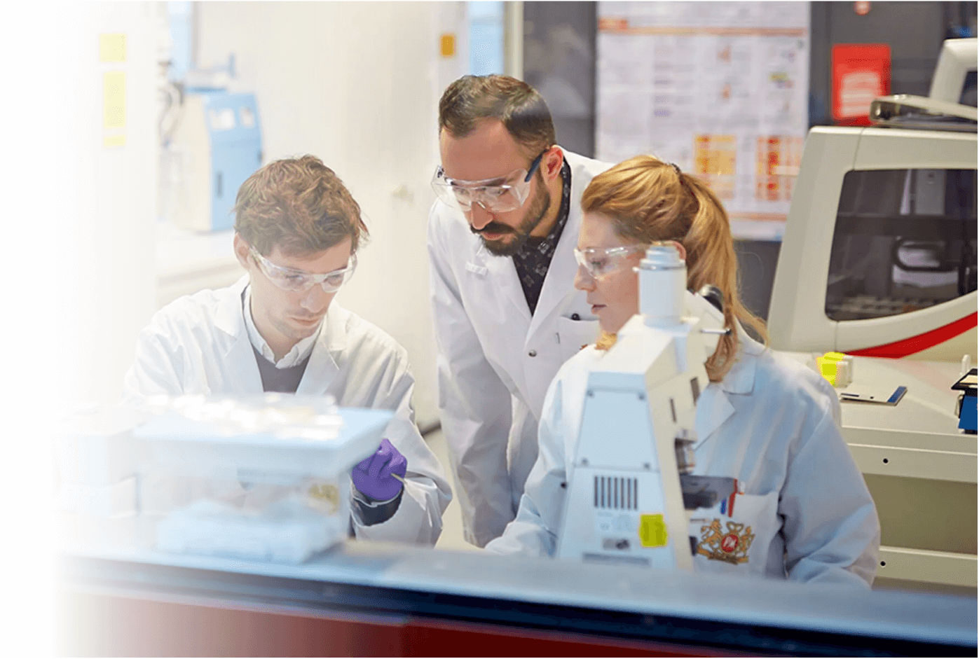 Cum Pot Produsele Fara Fum Sa Schimbe Viitorul D