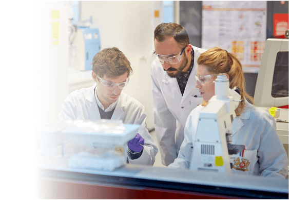 Cum Pot Produsele Fara Fum Sa Schimbe Viitorul M