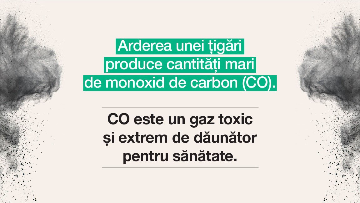 Monoxidul De Carbon Arderea Este Problema Cover