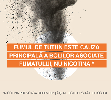 Aerosol Vs Fum Bg2 Xs